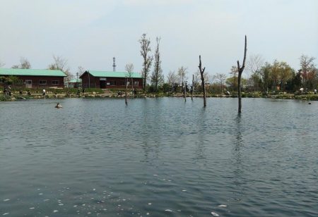 フィッシングパーク髙島の泉で数釣り